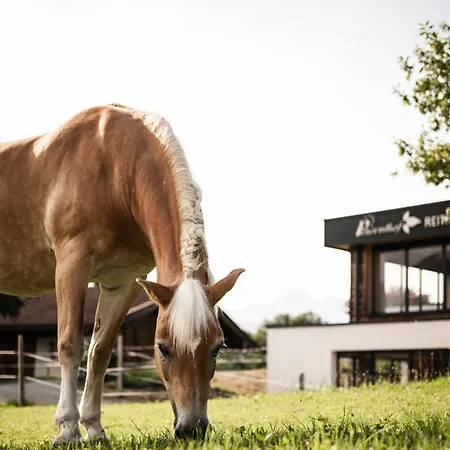 Hotell Wohlfuehlresort Peternhof