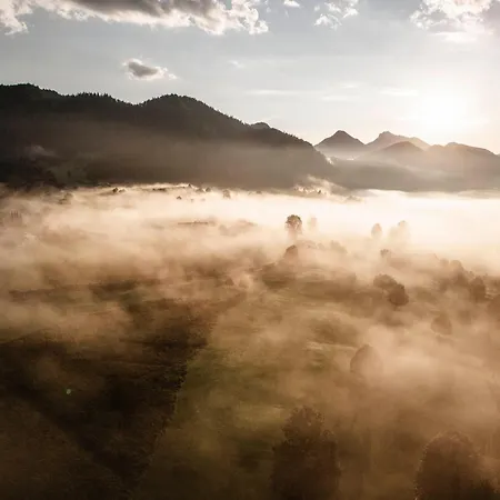 فندق Wohlfuehlresort Peternhof كوسن