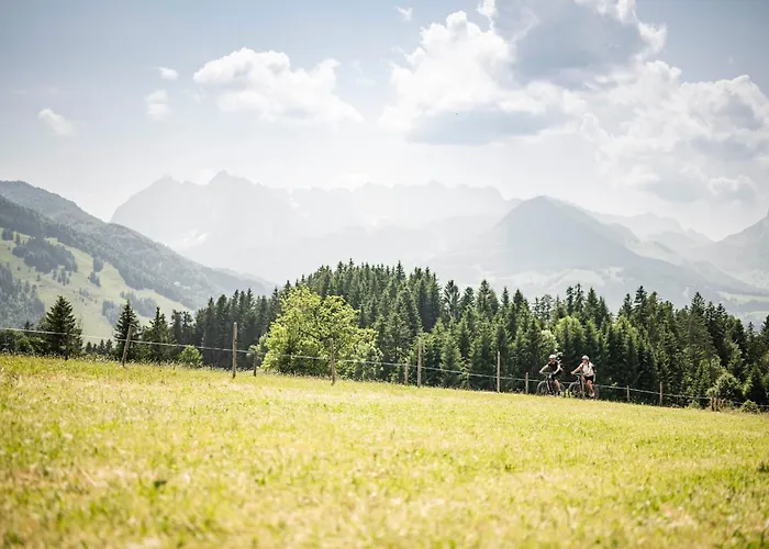 Wohlfuehlresort Peternhof 4*